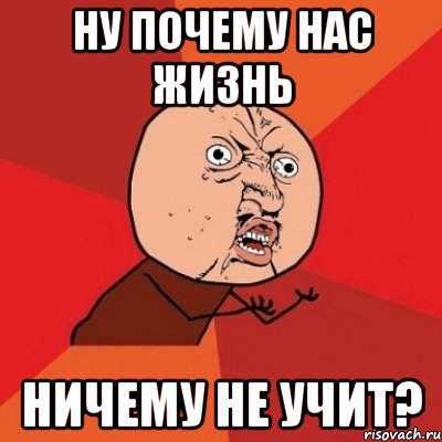 ну почему нас жизнь ничему не учит?, Мем Почему