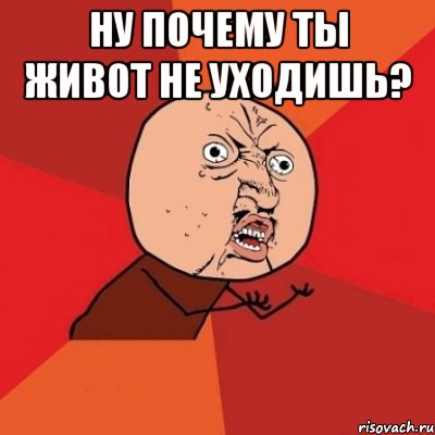 ну почему ты живот не уходишь? , Мем Почему