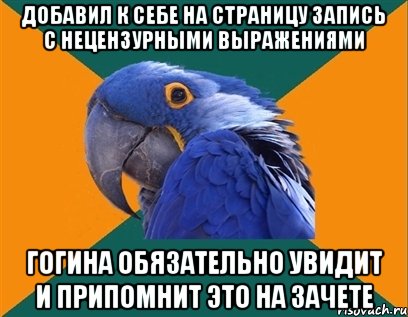 добавил к себе на страницу запись с нецензурными выражениями гогина обязательно увидит и припомнит это на зачете, Мем Попугай параноик