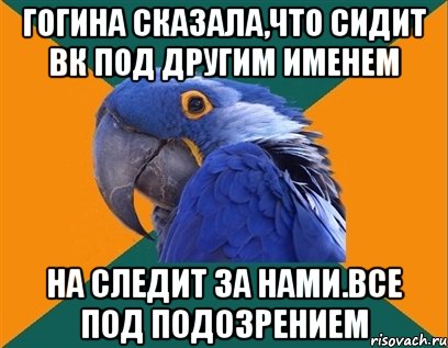 гогина сказала,что сидит вк под другим именем на следит за нами.все под подозрением, Мем Попугай параноик