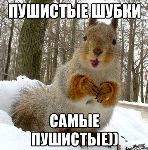 пушистые шубки самые пушистые)), Мем Пушистые шубки
