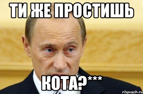 ти же простишь кота?***