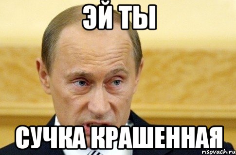 эй ты сучка крашенная, Мем путин