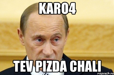 karo4 tev pizda chali, Мем путин