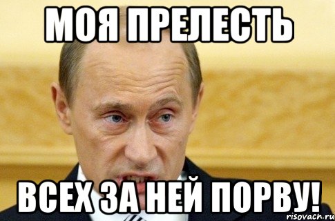 моя прелесть всех за ней порву!, Мем путин