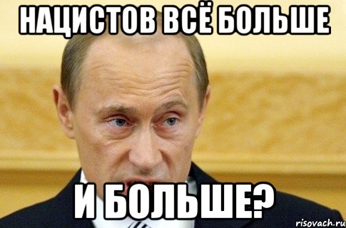 нацистов всё больше и больше?, Мем путин