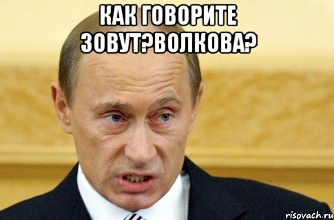 как говорите зовут?волкова? , Мем путин