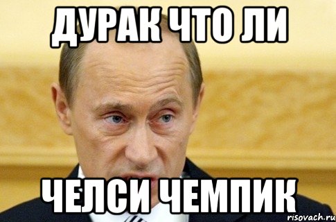 дурак что ли челси чемпик, Мем путин