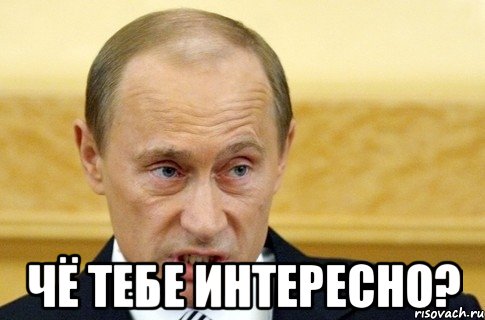  чё тебе интересно?, Мем путин