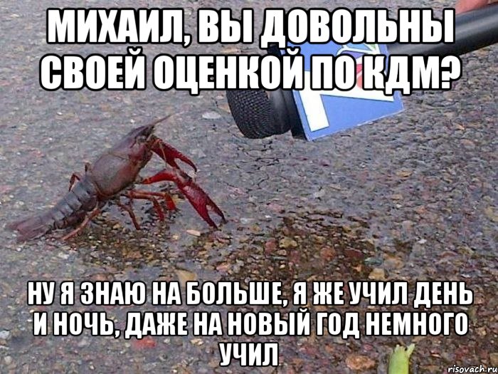 михаил, вы довольны своей оценкой по кдм? ну я знаю на больше, я же учил день и ночь, даже на новый год немного учил, Мем Рак