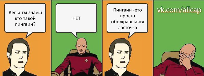 Кеп а ты знаеш кто такой пингвин? НЕТ Пингвин -ето просто обожравшаяся ласточка, Комикс с Кепом