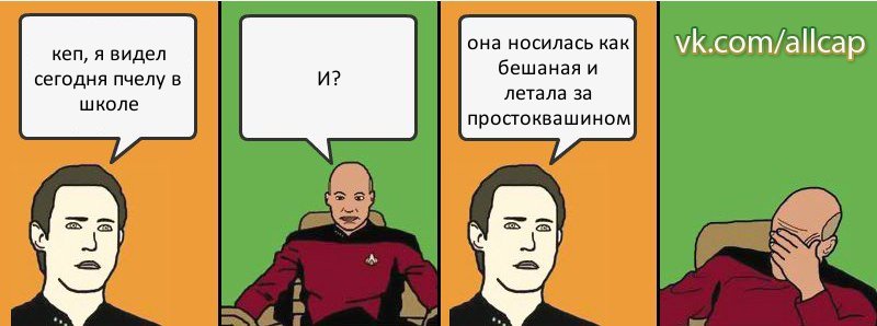 кеп, я видел сегодня пчелу в школе И? она носилась как бешаная и летала за простоквашином, Комикс с Кепом