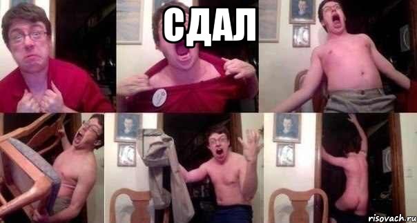 сдал , Мем СДАЛ