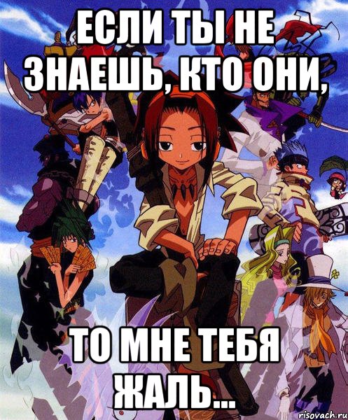 если ты не знаешь, кто они, то мне тебя жаль..., Мем Shaman king