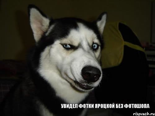 Увидел фотки Яроцкой без Фотошопа, Комикс  Собака подозревака