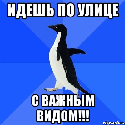 идешь по улице с важным видом!!!, Мем  Социально-неуклюжий пингвин