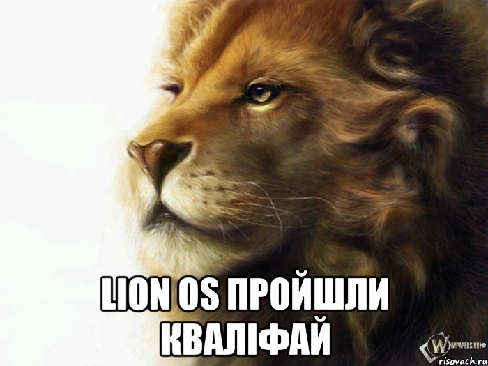  lion os пройшли кваліфай, Мем Спокойствие