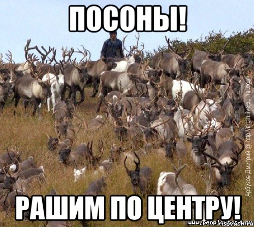 посоны! рашим по центру!