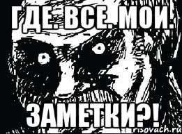 где. все. мои. заметки?!, Мем СТЕРВА face