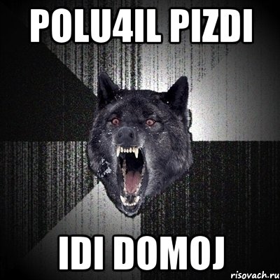 polu4il pizdi idi domoj, Мем Сумасшедший волк