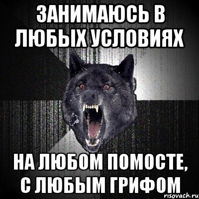 занимаюсь в любых условиях на любом помосте, с любым грифом, Мем Сумасшедший волк