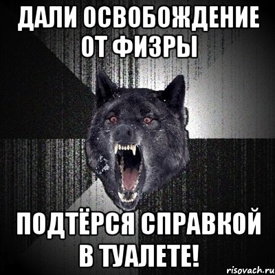 дали освобождение от физры подтёрся справкой в туалете!, Мем Сумасшедший волк