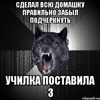 сделал всю домашку правильно забыл подчеркнуть училка поставила 3, Мем Сумасшедший волк