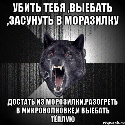 убить тебя ,выебать ,засунуть в моразилку достать из морозилки,разогреть в микроволновке,и выебать тёплую, Мем Сумасшедший волк