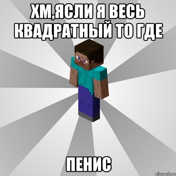 хм,ясли я весь квадратный то где пенис, Мем Типичный игрок Minecraft