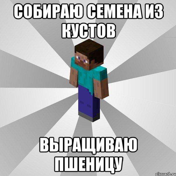 собираю семена из кустов выращиваю пшеницу, Мем Типичный игрок Minecraft