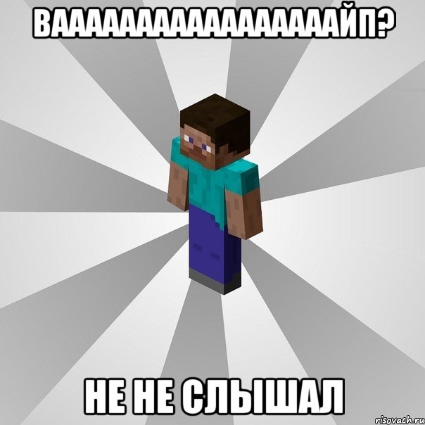 вааааааааааааааааайп? не не слышал, Мем Типичный игрок Minecraft