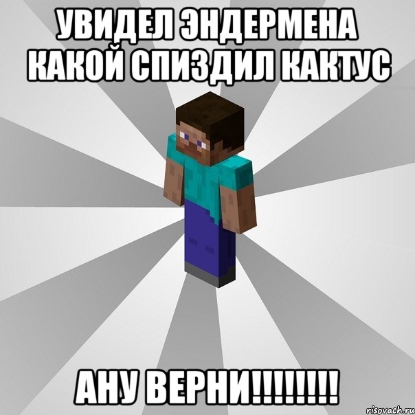 увидел эндермена какой спиздил кактус ану верни!!!, Мем Типичный игрок Minecraft