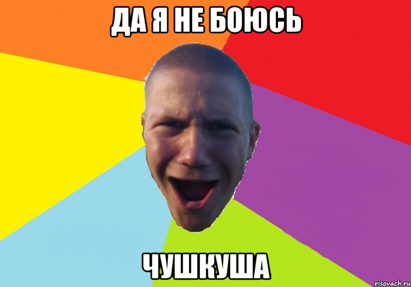 да я не боюсь чушкуша