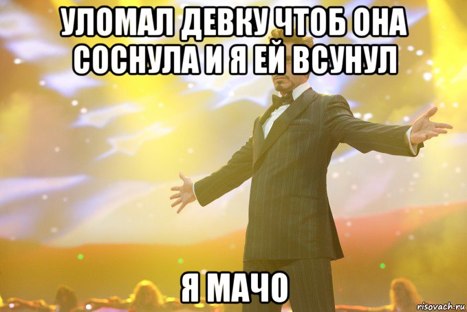 уломал девку чтоб она соснула и я ей всунул я мачо, Мем Тони Старк (Роберт Дауни младший)