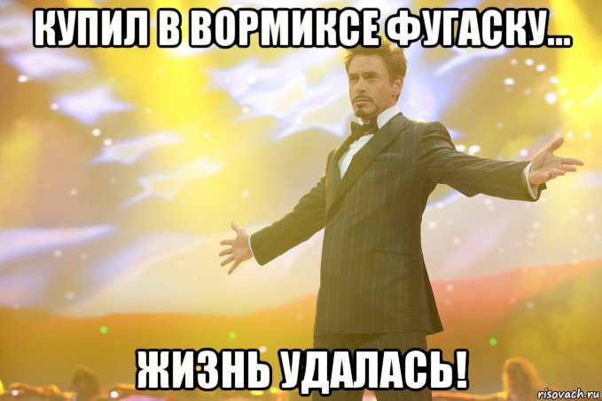 купил в вормиксе фугаску... жизнь удалась!, Мем Тони Старк (Роберт Дауни младший)