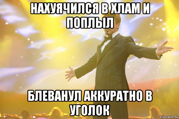 нахуячился в хлам и поплыл блеванул аккуратно в уголок, Мем Тони Старк (Роберт Дауни младший)