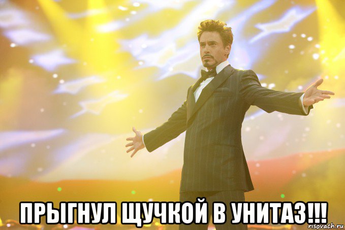  прыгнул щучкой в унитаз!!!, Мем Тони Старк (Роберт Дауни младший)