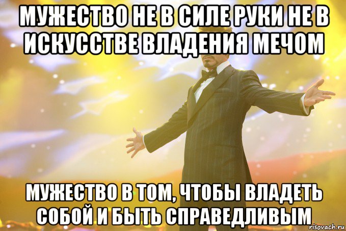 мужество не в силе руки не в искусстве владения мечом мужество в том, чтобы владеть собой и быть справедливым, Мем Тони Старк (Роберт Дауни младший)