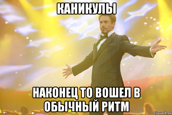 каникулы наконец то вошел в обычный ритм, Мем Тони Старк (Роберт Дауни младший)