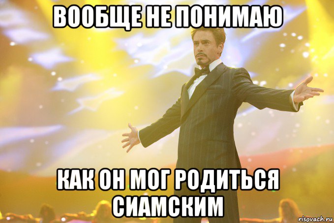 вообще не понимаю как он мог родиться сиамским, Мем Тони Старк (Роберт Дауни младший)