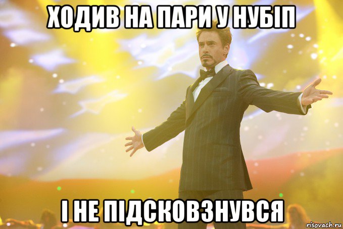 ходив на пари у нубіп і не підсковзнувся, Мем Тони Старк (Роберт Дауни младший)