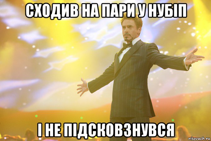 сходив на пари у нубіп і не підсковзнувся, Мем Тони Старк (Роберт Дауни младший)