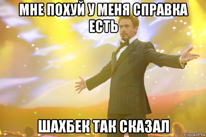 мне похуй у меня справка есть шахбек так сказал, Мем Тони Старк (Роберт Дауни младший)