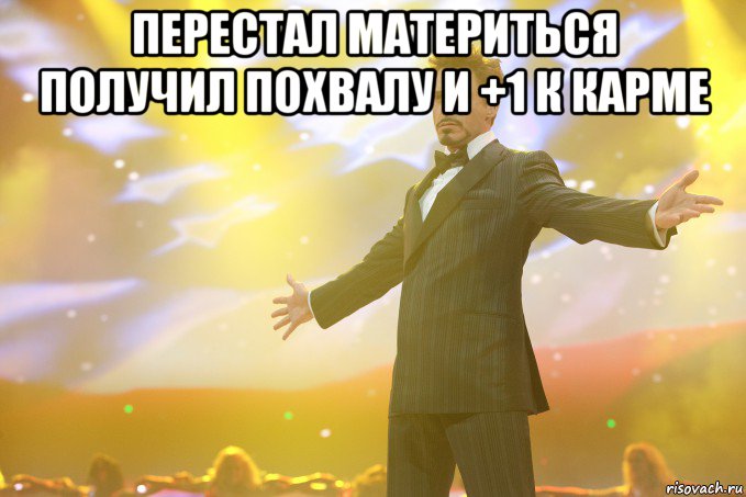 перестал материться получил похвалу и +1 к карме , Мем Тони Старк (Роберт Дауни младший)