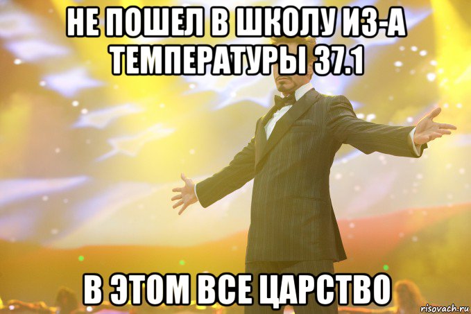 не пошел в школу из-а температуры 37.1 в этом все царство, Мем Тони Старк (Роберт Дауни младший)