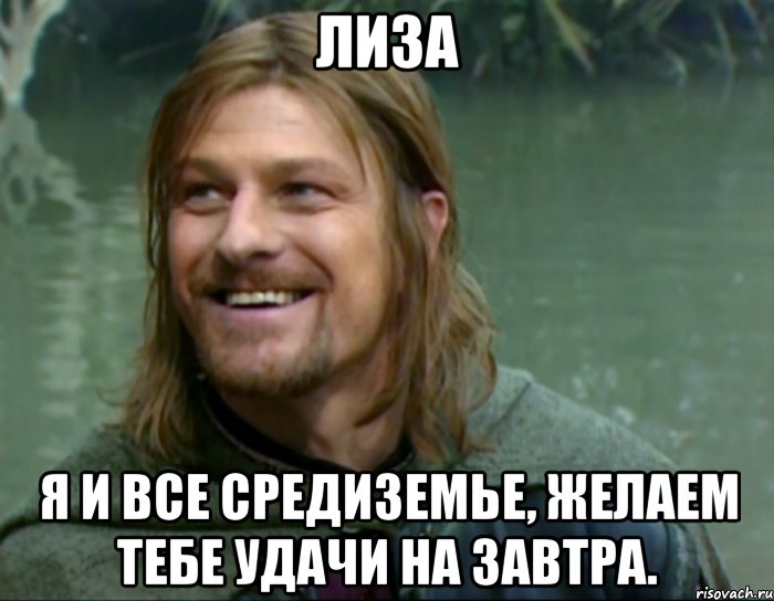 лиза я и все средиземье, желаем тебе удачи на завтра., Мем Тролль Боромир