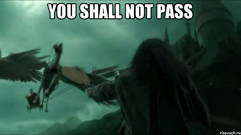 you shall not pass , Мем ты не пройдешь