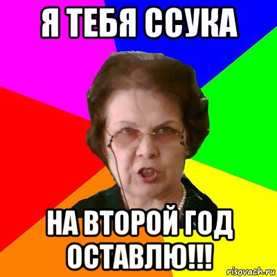 я тебя ссука на второй год оставлю!!!, Мем Типичная училка