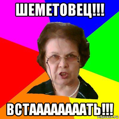 шеметовец!!! встаааааааать!!!, Мем Типичная училка