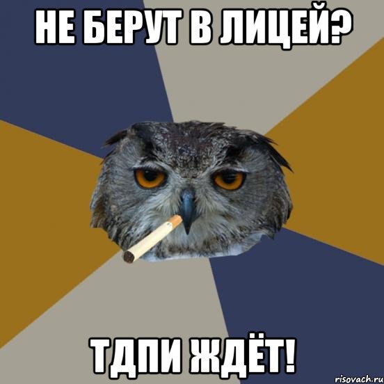 не берут в лицей? тдпи ждёт!